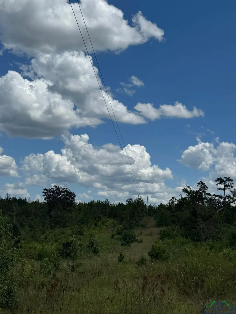 Tbd Cr 1637, Linden, TX 75563 - Image #3