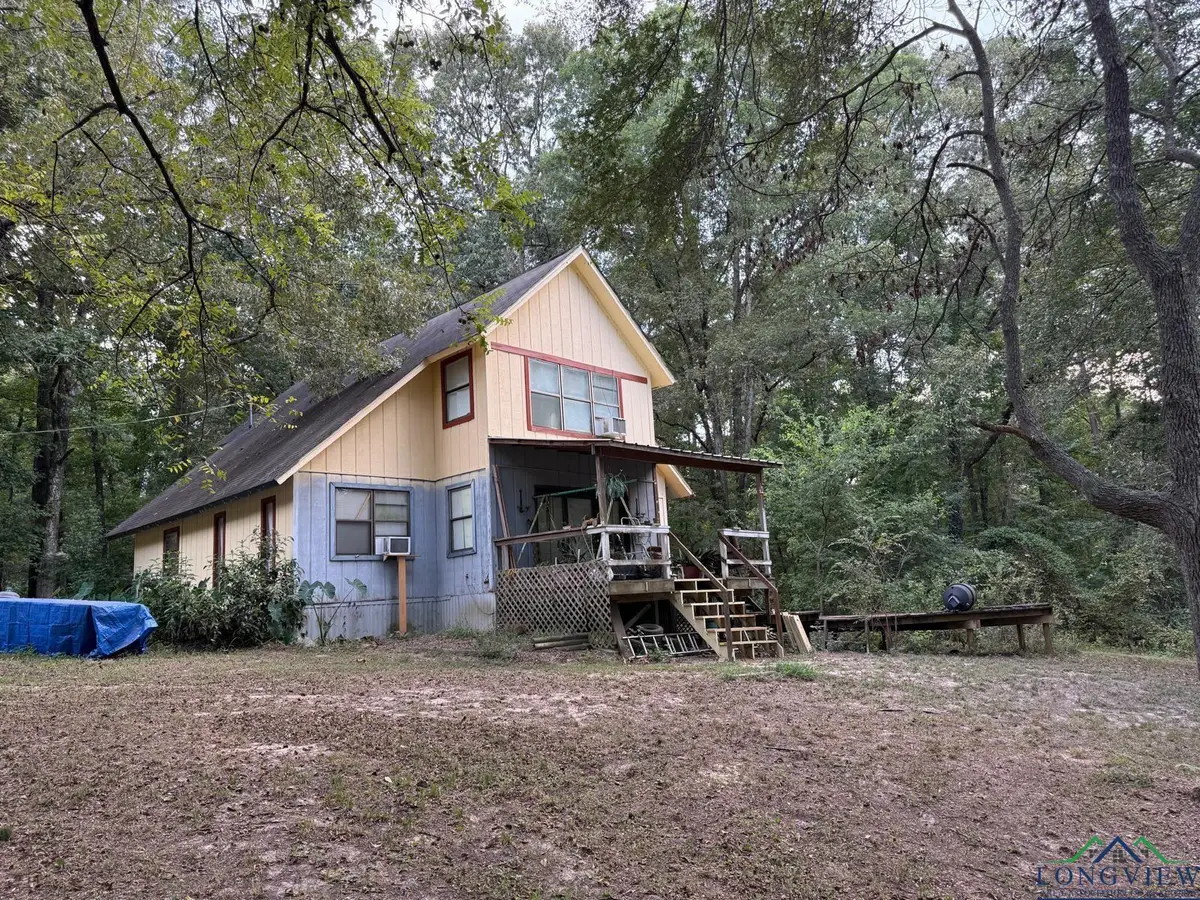 2766 Brandy Rd, Diana, TX 75640 - Image #1