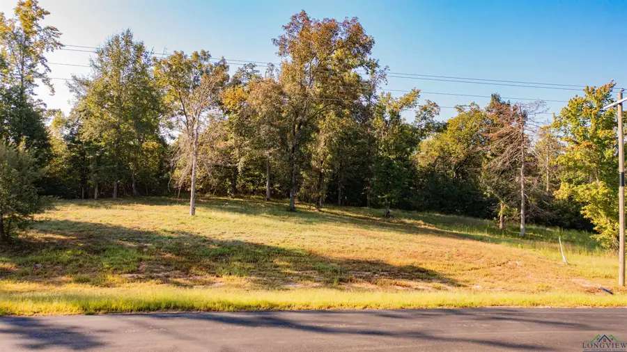 Lot 61 Big Rock Lake, Hallsville, TX 75650 - Image #2