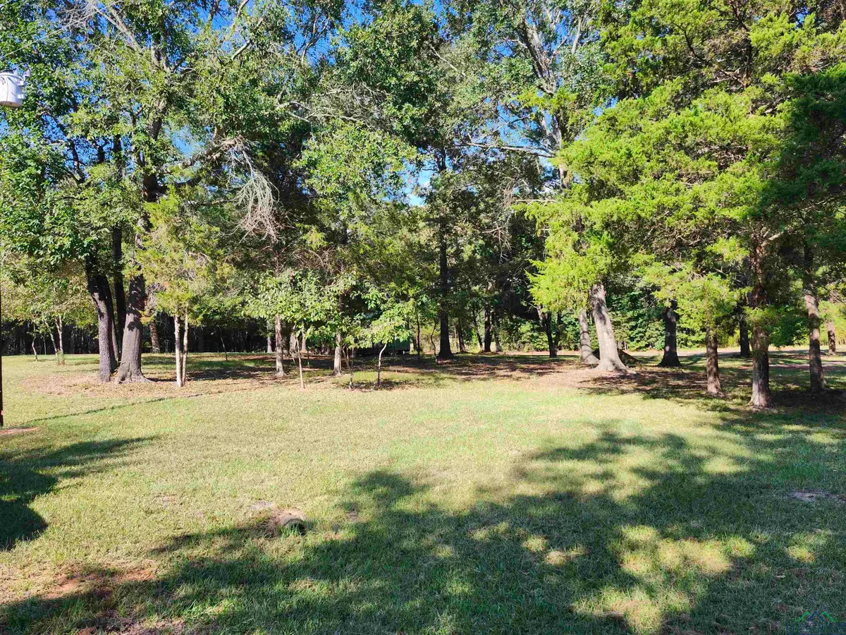 12865 FM 729, Avinger, TX 75563 - Image #1