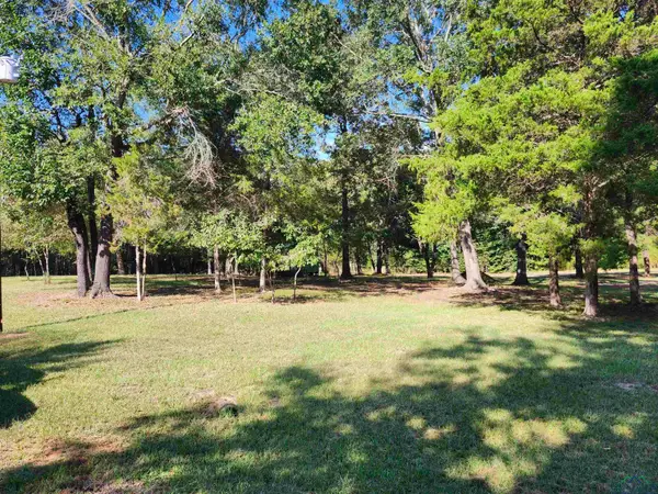 12865 FM 729, Avinger, TX 75563