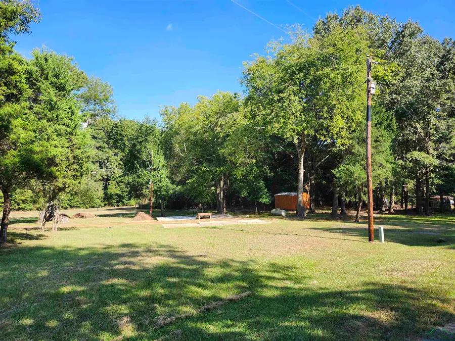 12865 FM 729, Avinger, TX 75563 - Image #2