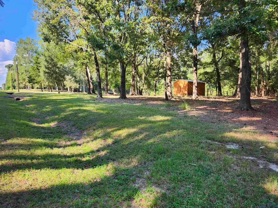 12865 FM 729, Avinger, TX 75563 - Image #3