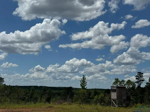 Tbd CR 1606, Linden, TX 75563