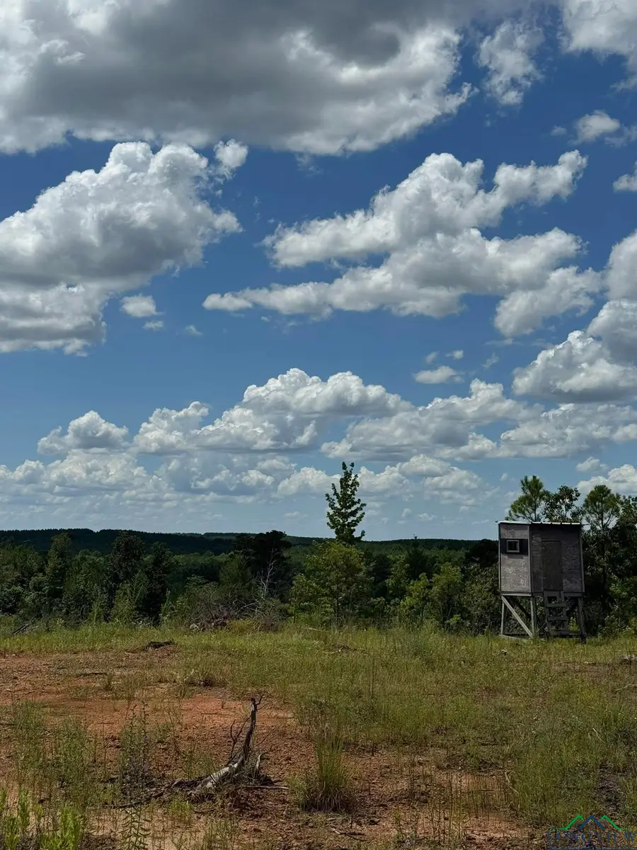 Tbd CR 1606, Linden, TX 75563 - Image #2