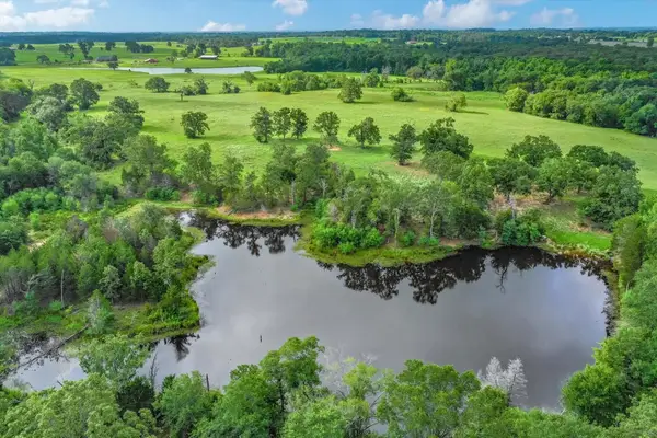 100+/- Acres FM 773, Grand Saline, TX 75140