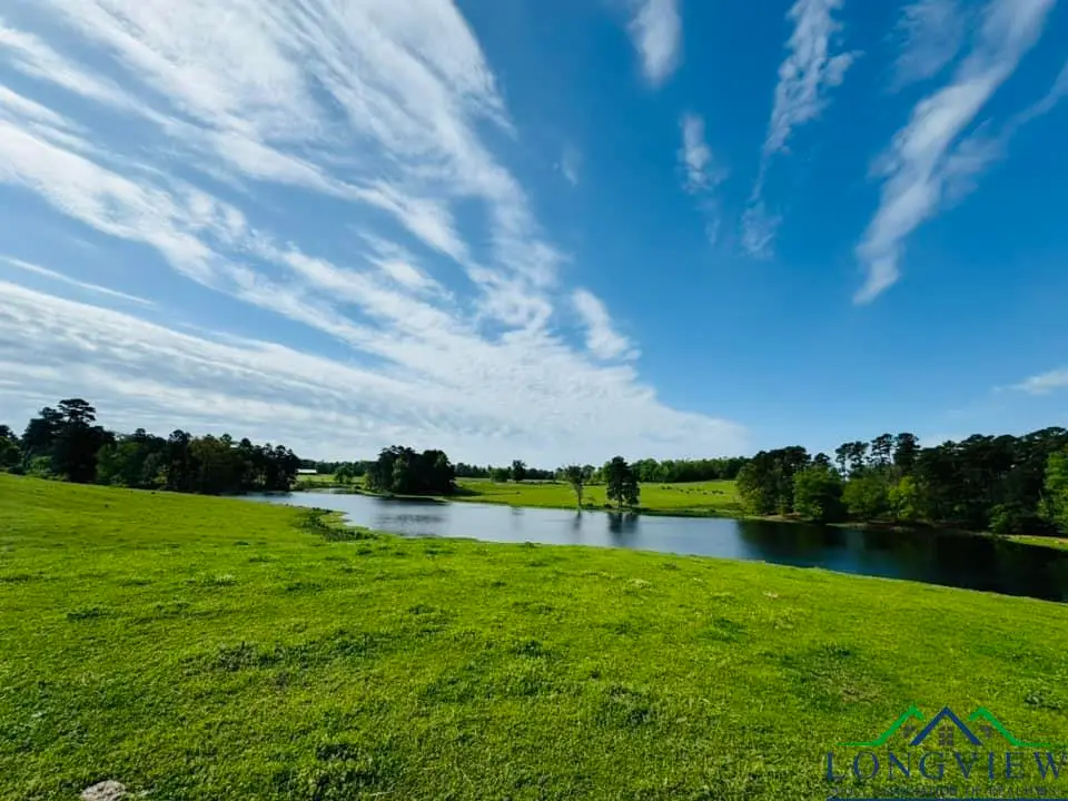 Tbd Fm 96, Atlanta, TX 75551 - Image #1