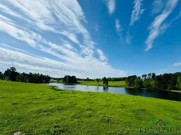 Tbd Fm 96, Queen City, TX 75551