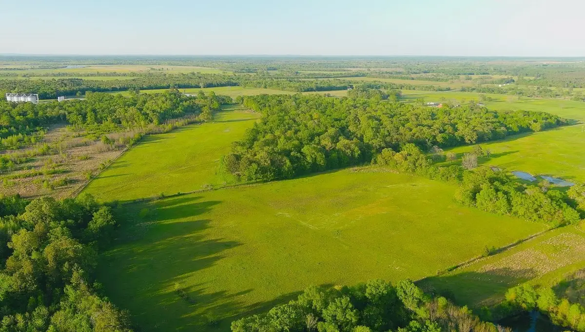 Tbd Fm 195, Manchester, TX 75412 - Image #1