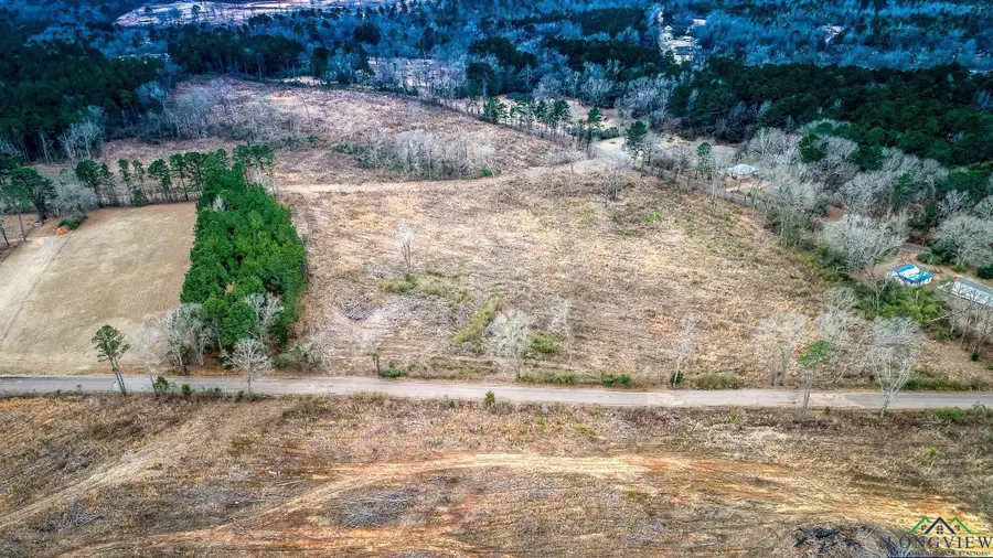 25 AC DAVIDSON RD, Diana, TX 75601-0000 - Image #2