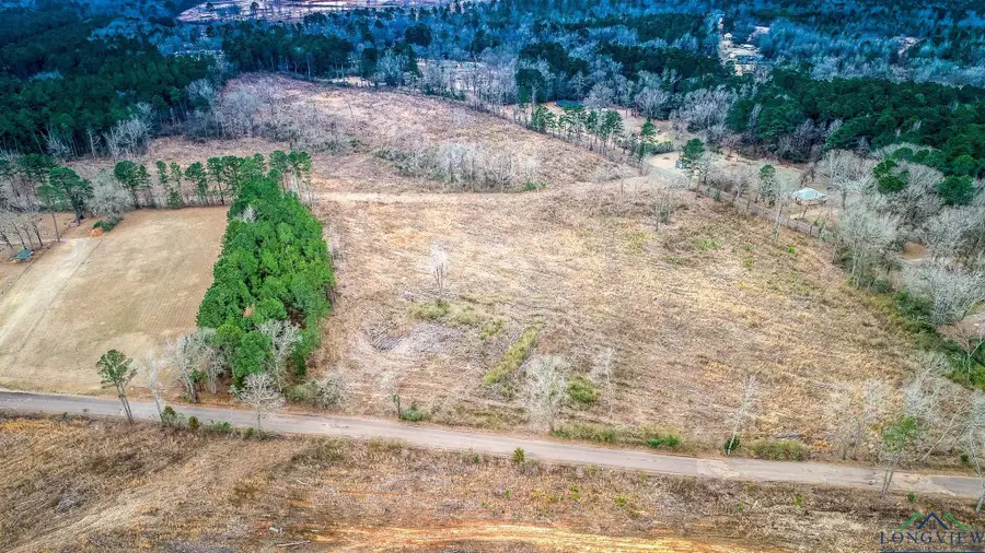 25 AC DAVIDSON RD, Diana, TX 75601-0000 - Image #3