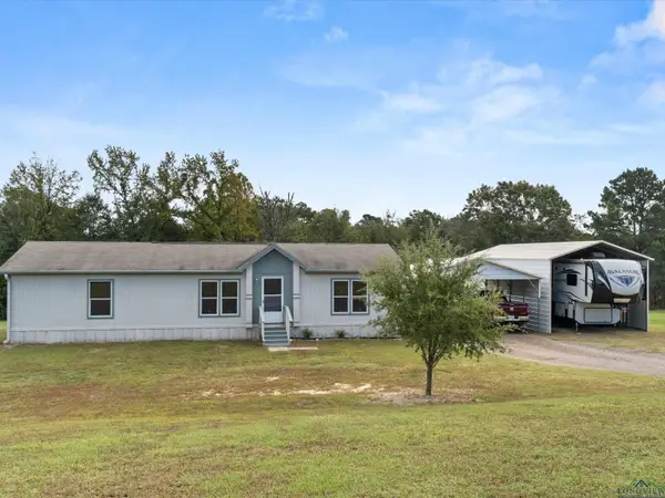 105 Eagle Ridge Rd, Diana, TX 75640