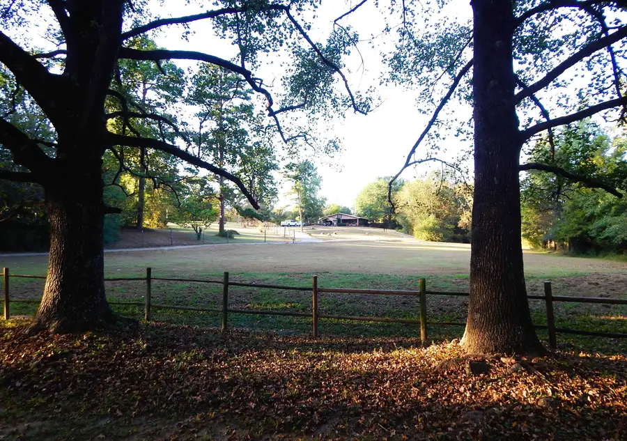 1801 CR 4420, Winnsboro, TX 75494 - #2