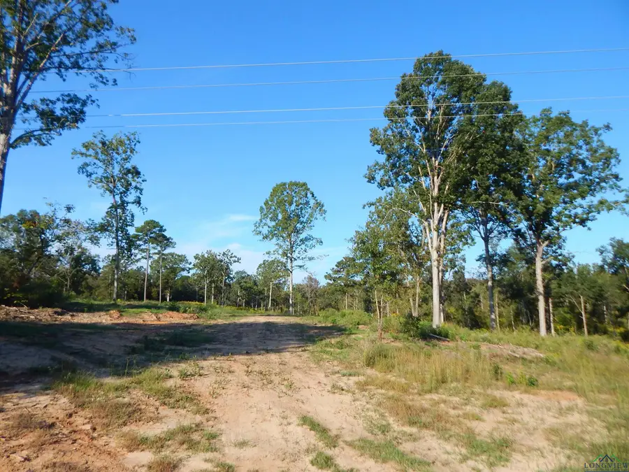 TBD 7.57 ACRES HWY 259, Ore City, TX 75683 - Image #3