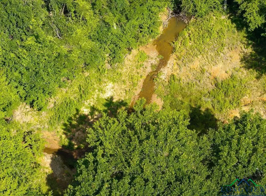 TBD County Road 345 S, Henderson, TX 75654 - Image #3