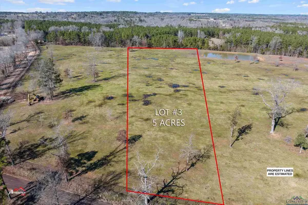 Lot 3 TBD CR 379, Laneville, TX 75667