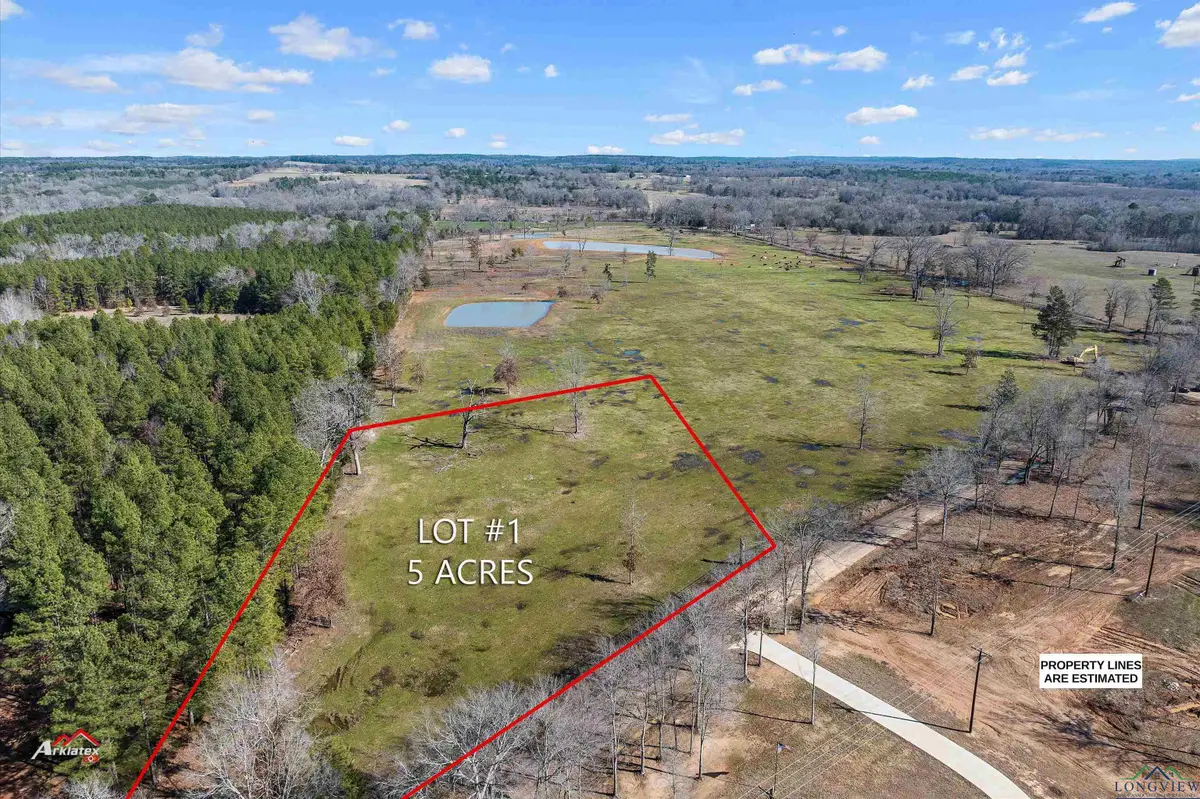 Lot 1 TBD CR 378, Laneville, TX 75667 - Image #1