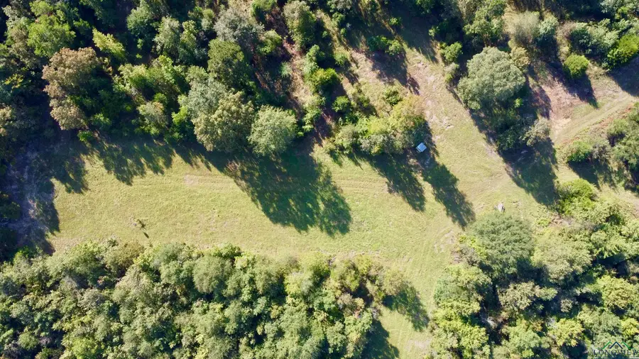 TBD CR 1579, Avinger, TX 75630 - Image #2