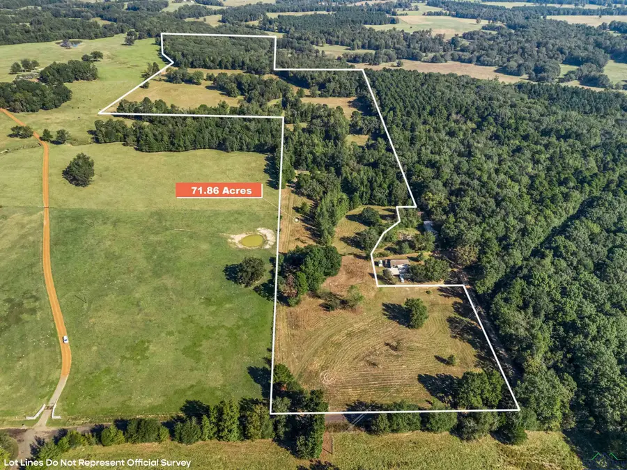 TBD Giraffe Rd, Gilmer, TX 75644 - Image #2
