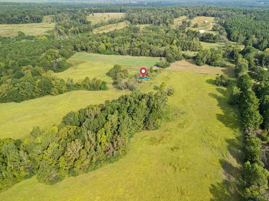 TBD County Rd 180, Gary, TX 75643 - Image #3