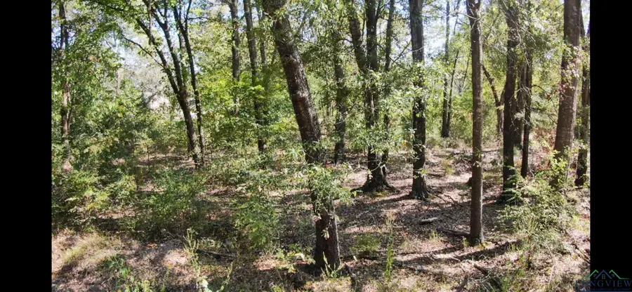 119 S OLIVE ST, Gladewater, TX 75647 - Image #2