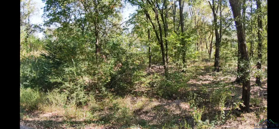 119 S OLIVE ST, Gladewater, TX 75647 - Image #3