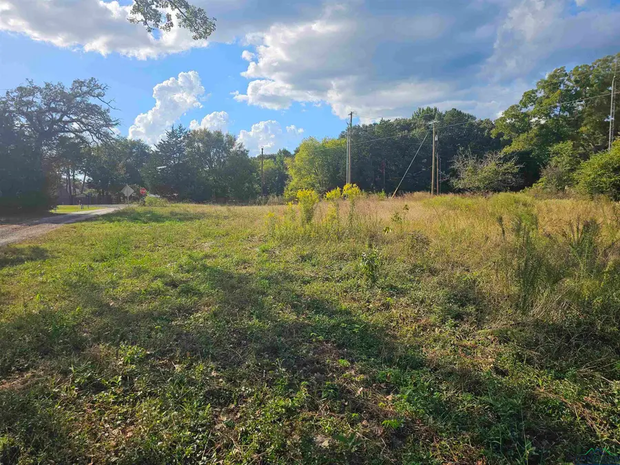 TBD FM 315 & CR 3316, Chandler, TX 75758 - Image #3