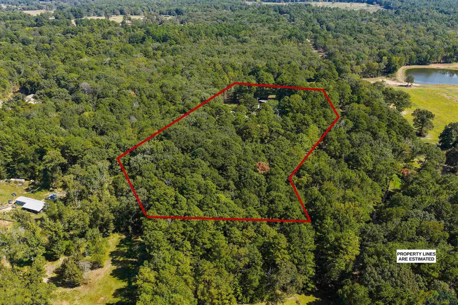 15968 FM 2276 N, Kilgore, TX 75662 - Image #3