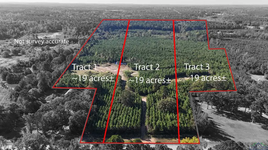 TBD Tract 1 FM 726, Jefferson, TX 75657 - Image #2