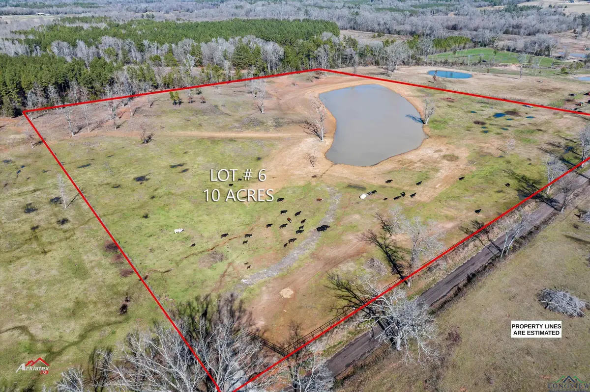 Lot 5 & 6 TBD CR 379, Laneville, TX 75667 - Image #1