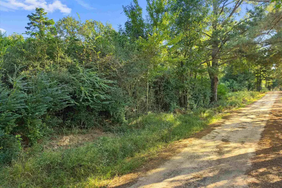 TBD CR 4875, Timpson, TX 75975 - Image #2