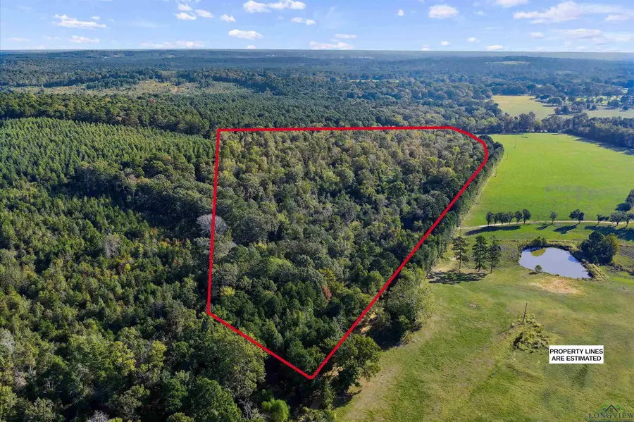 TBD CR 4875, Timpson, TX 75975 - Image #3