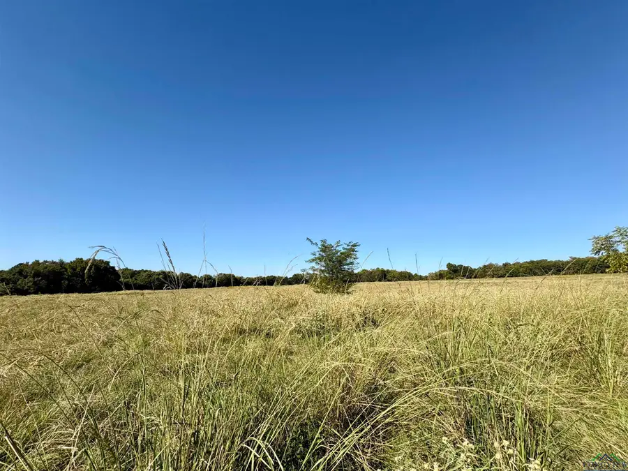 000 CR 3414  LOT 2, Jacksonville, TX 75766 - Image #2