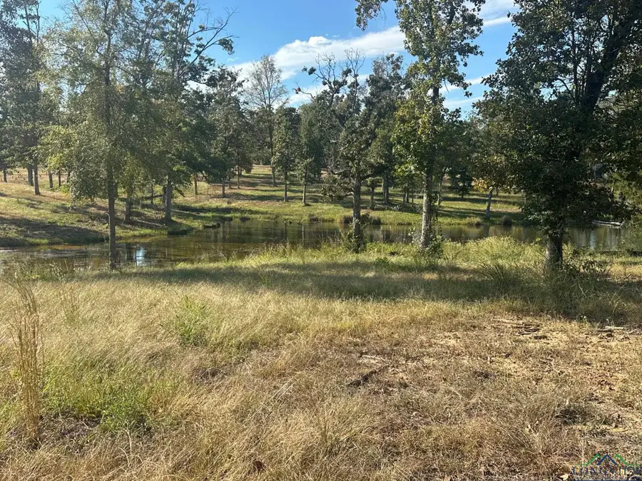 Lot 19 Boulder Ct., Hallsville, TX 75650 - Image #3