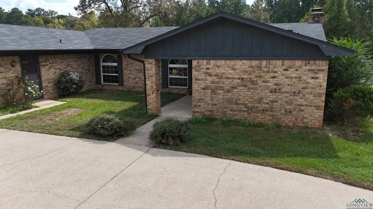 245 Black Mountain Rd, Daingerfield, TX 75638 - Image #1