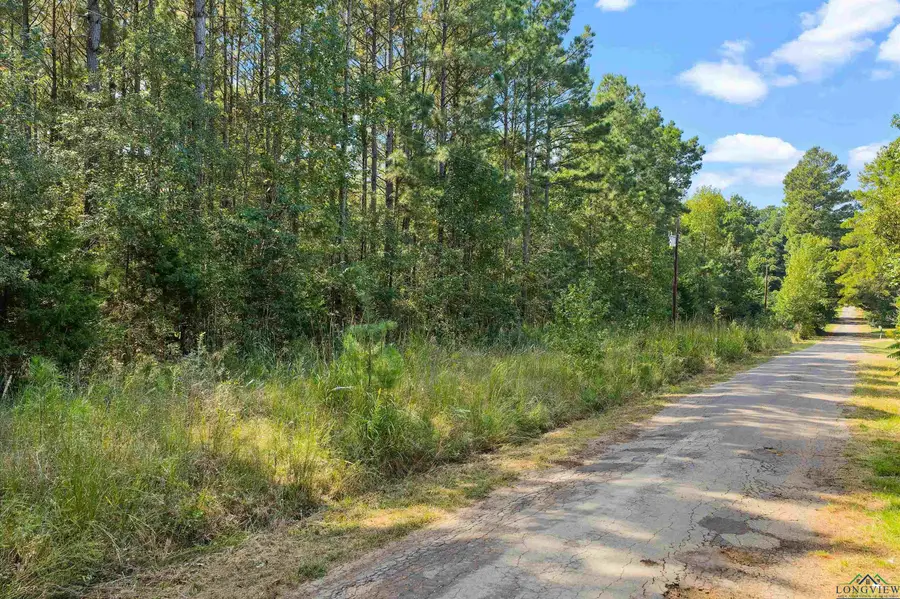 6.4 acres, TBD Narcissus Rd, Ore City, TX 75683 - Image #2