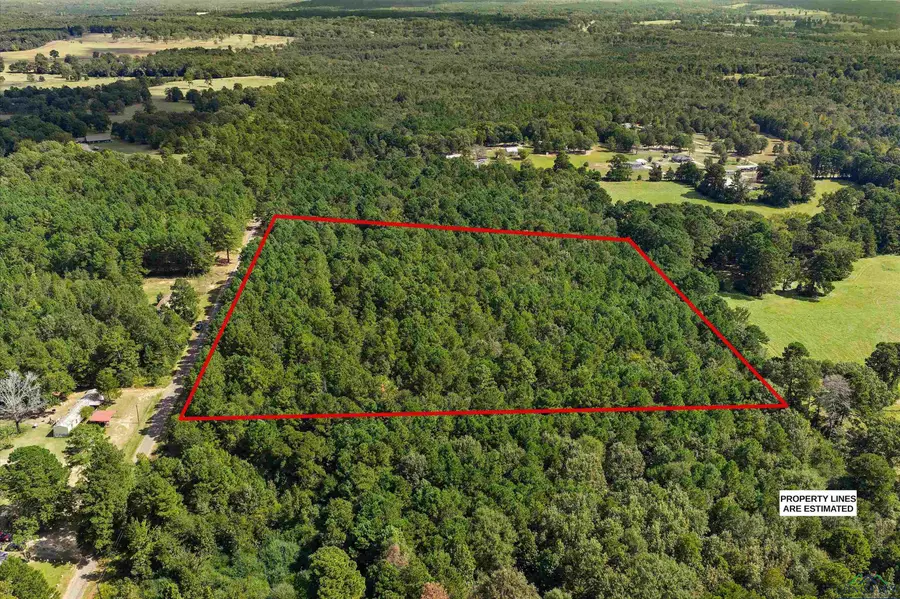 6.4 acres, TBD Narcissus Rd, Ore City, TX 75683 - Image #3