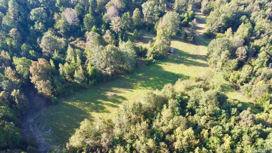 TBD CR 1579-2, Avinger, TX 75630 - Image #2