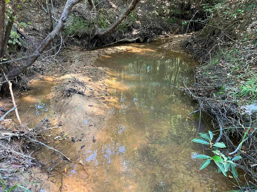 TBD CR 1579-2, Avinger, TX 75630 - Image #3