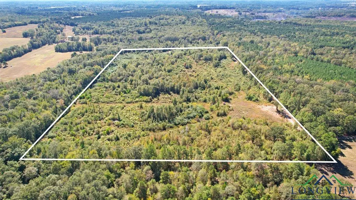 TBD CR 3201 Whitmore Rd, Omaha, TX 75571 - Image #1