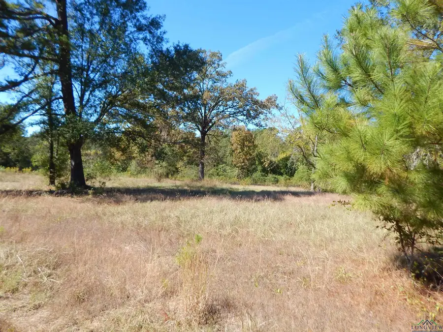 TBD .6 ACRE HWY 155, Gilmer, TX 75644 - Image #3