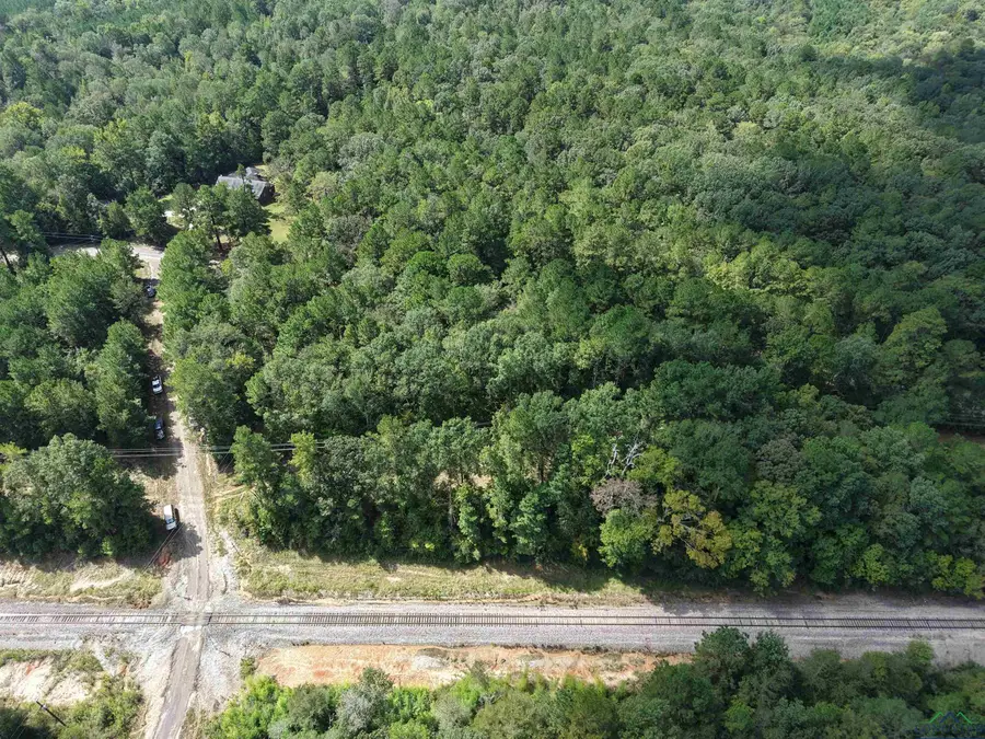 TBD CR 127, Gary City, TX 75643 - Image #3