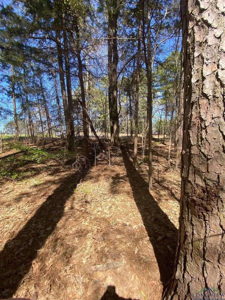 TBD Lot 51 Bois D' Arc, Diana, TX 75640 - Image #2