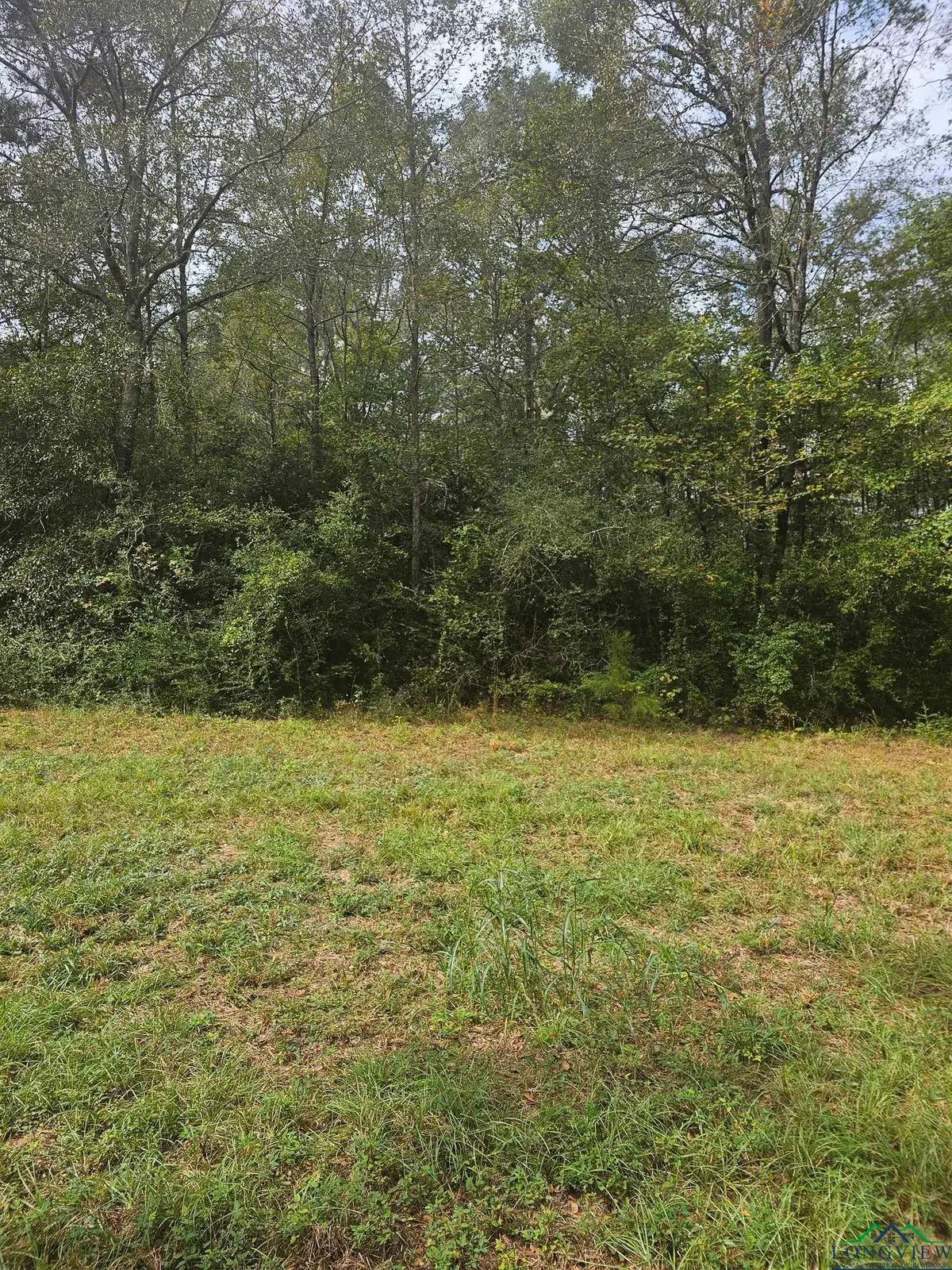 TBD CR 4091, Gary, TX 75643 - Image #1