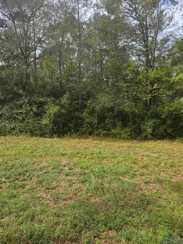 TBD CR 4091, Gary, TX 75643