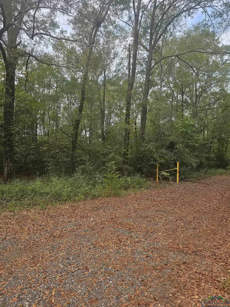 TBD CR 4091, Gary, TX 75643 - Image #2