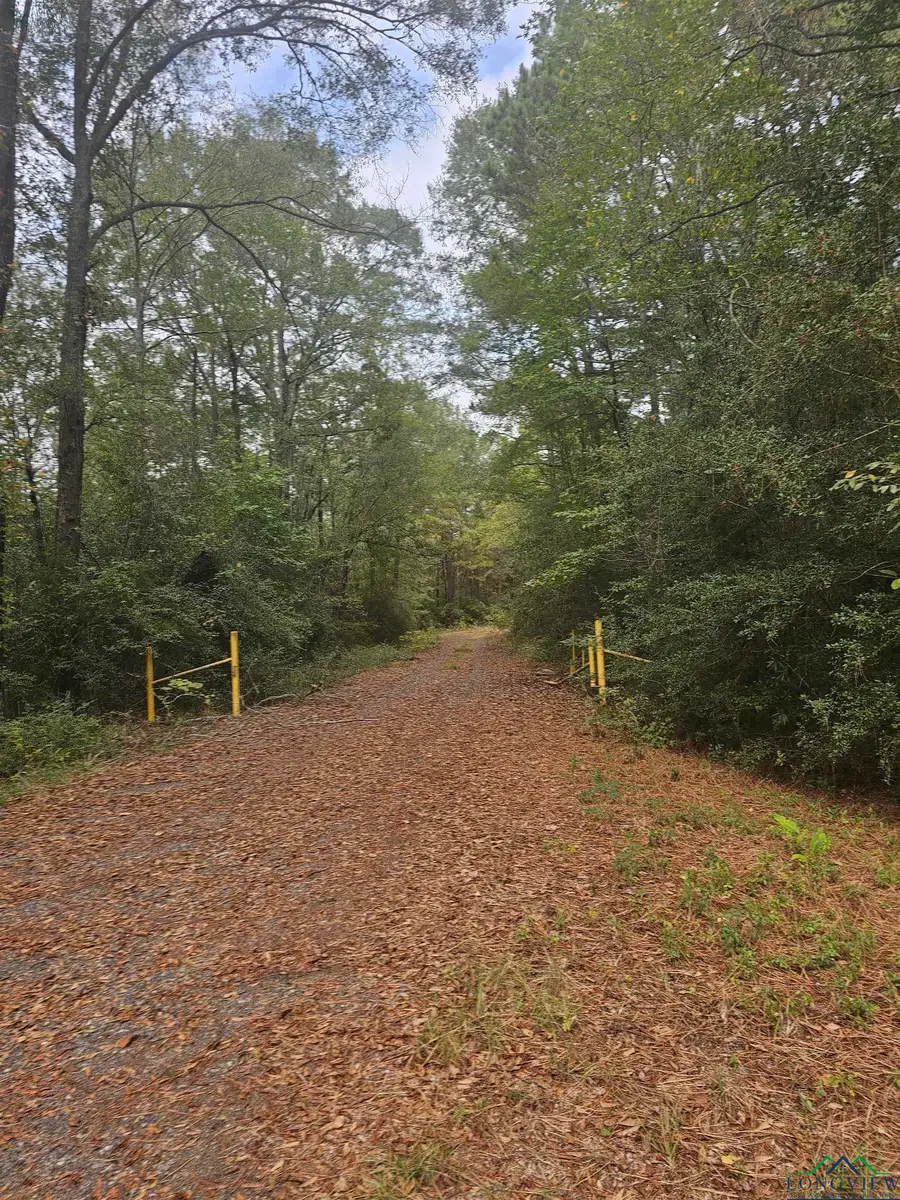 TBD CR 4091, Gary, TX 75643 - Image #3