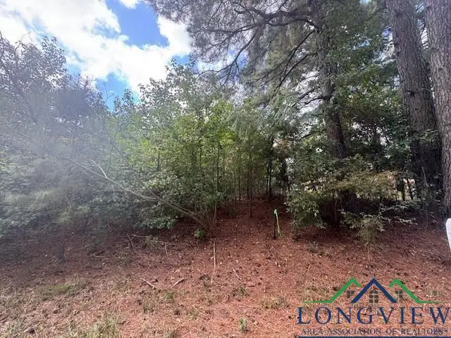 TBD CR 3203, Omaha, TX 75571 - Image #3