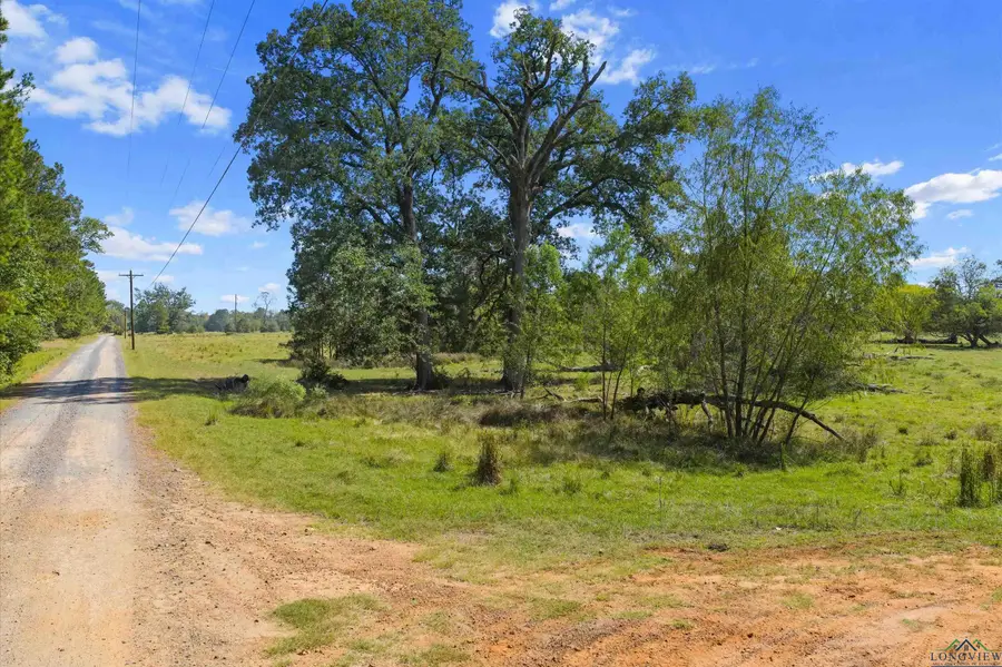 TBD Blocker Rd., Marshall, TX 75670 - Image #2
