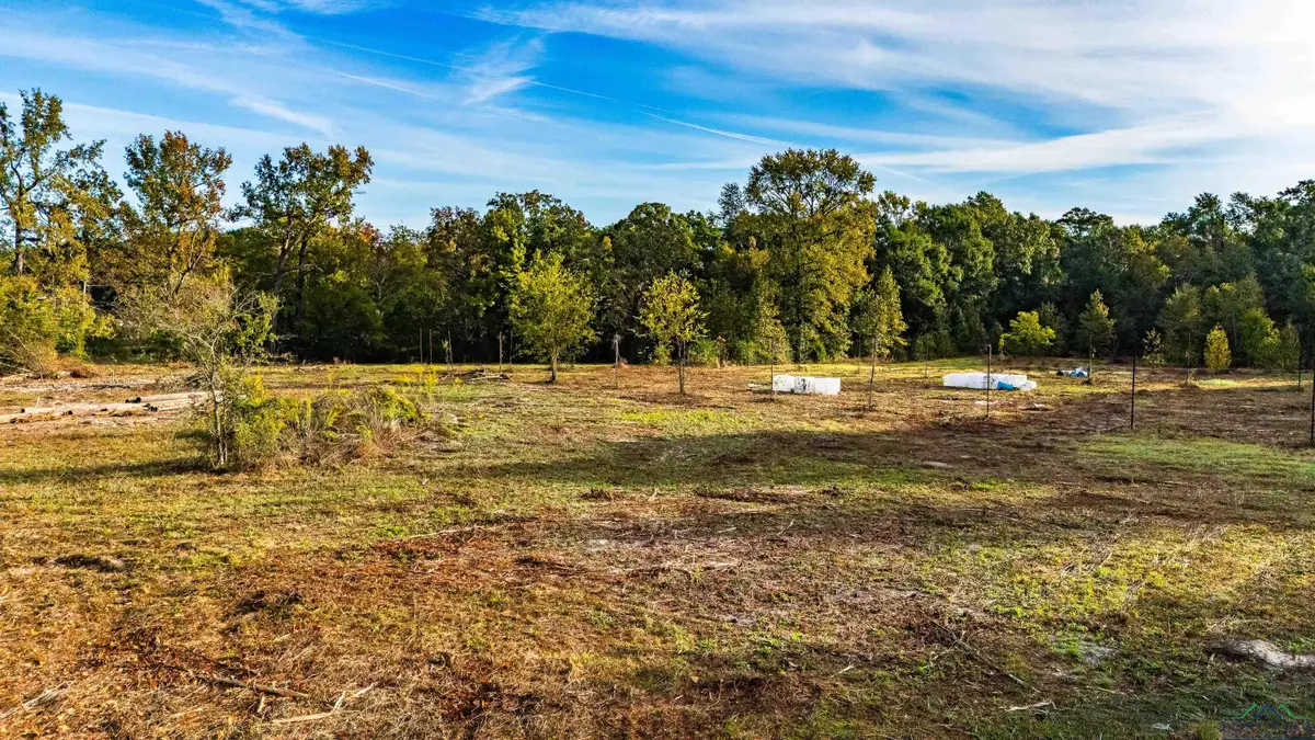 TBD Thomas Ln, Longview, TX 75604 - Image #1